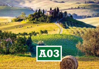 8-10 FEBBRAIO 2019 METAMODELLO DUE IL LINGUAGGIO DELL’ANIMA
