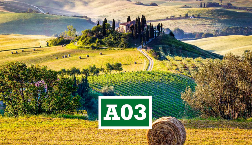 A03EDUMA