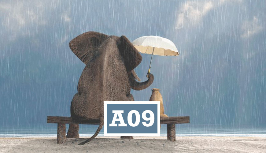 A09EDUMA
