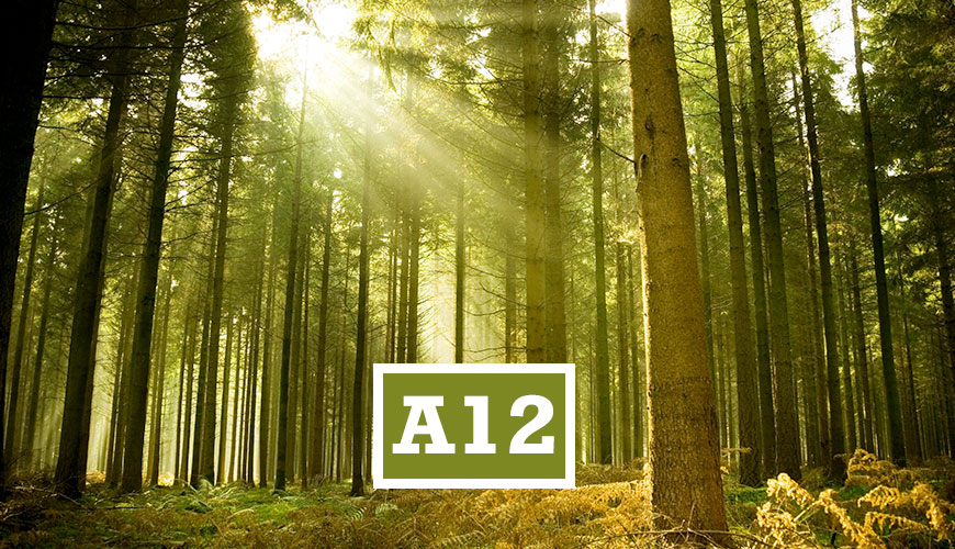 A12EDUMA