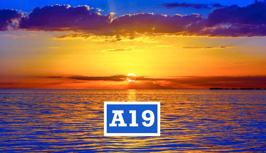 A19EDUMA