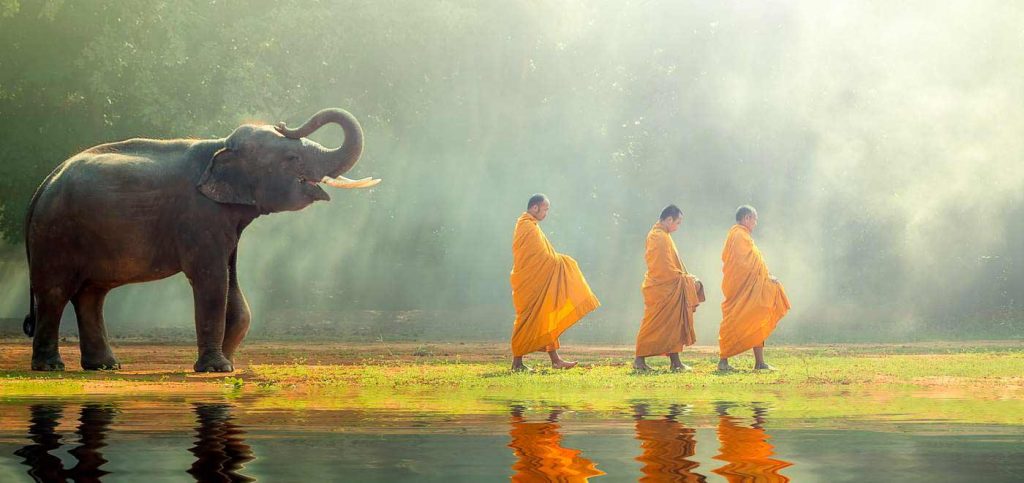 L'Ottuplice sentiero nella visione di Thich Nhat Hanh