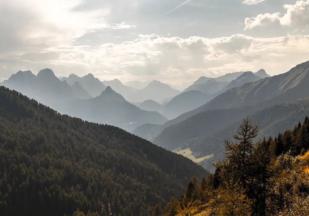 UniaAleph Formazione Counselor QUARTA ANNUALITA UniaAleph Formazione Counselor QUARTA ANNUALITA