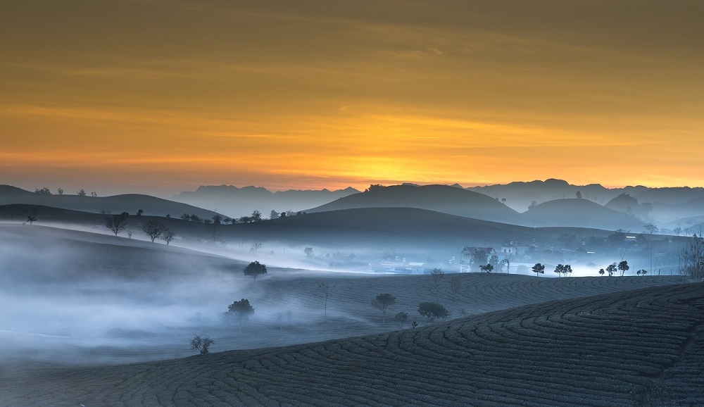 unialeph-corsi-counselor