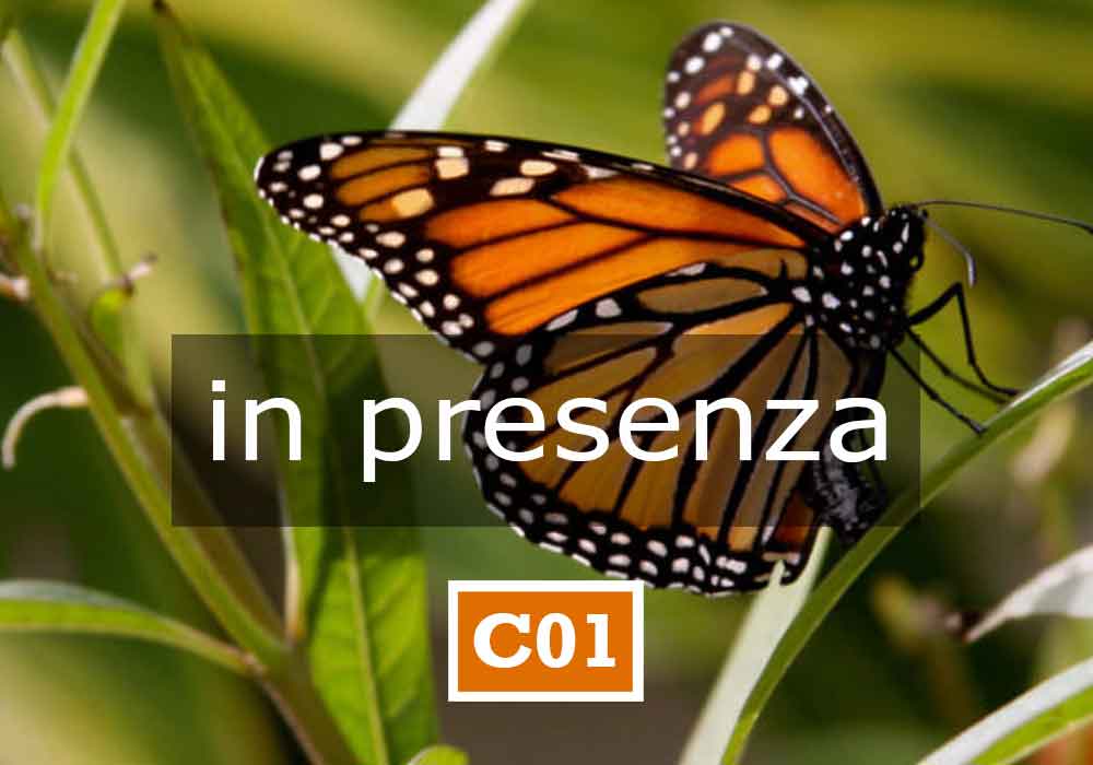 Unialeph-Seminari-C01-ONLINE-APPARTENENZA-E-IDENTITA-In-presenza
