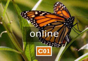 C01 online | APPARTENENZA E IDENTITÀ