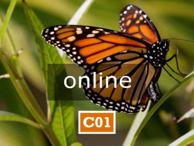 C01 online | APPARTENENZA E IDENTITÀ