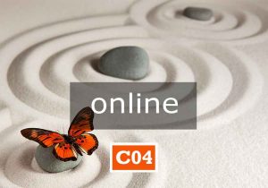 C04 online | INTELLIGENZA SPIRITUALE