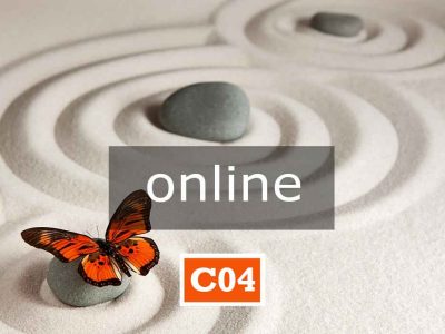 C04 online | INTELLIGENZA SPIRITUALE