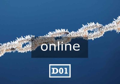 D01 online | LAVORI PERSONALI – COUNSELING COMUNITARIO