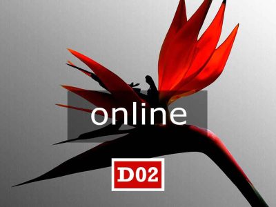 D02 online | LABORATORIO DI CREATIVITÀ SPIRITUALE