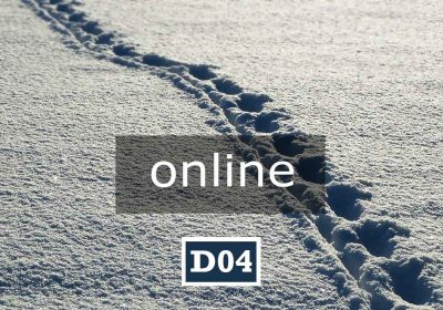 D04 online | LA PACE È OGNI PASSO