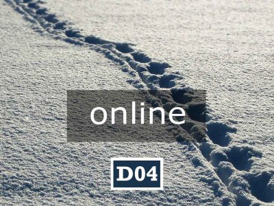 D04 online | LA PACE È OGNI PASSO