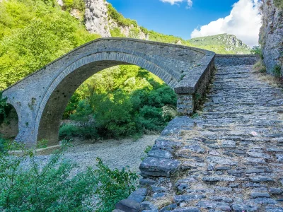 COUNSELOR Primo anno