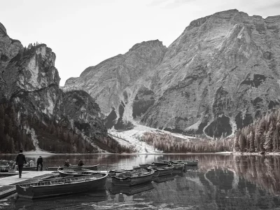 COUNSELOR Secondo anno