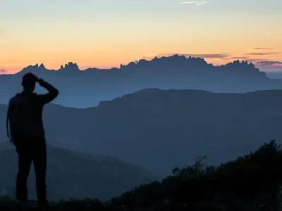 COUNSELOR Terzo anno