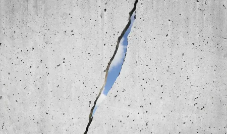 Il Cammino della Rinascita