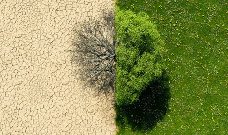 La Costituzione tradita