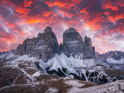 COUNSELOR Quarto anno