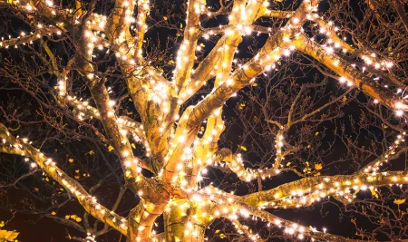 Come si combatte il neoliberismo